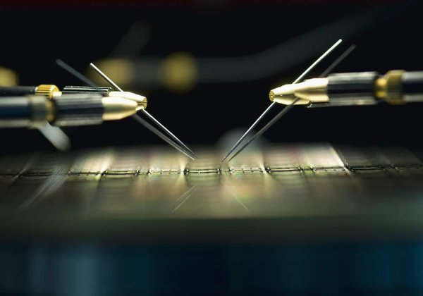 Comment les micro-algues transforment-elles l'énergie solaire en biocarburants ?