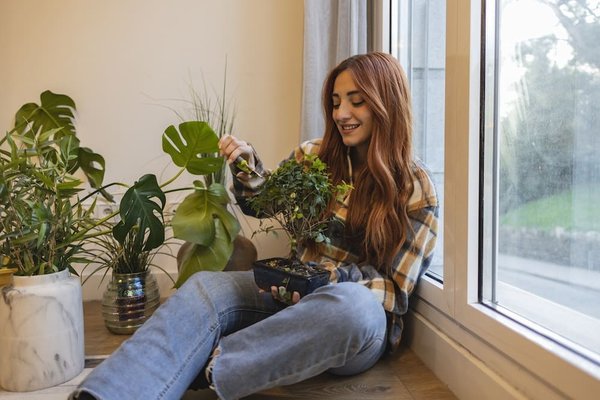 Comment intégrer l'art du Bonsaï dans l'aménagement paysager moderne ?